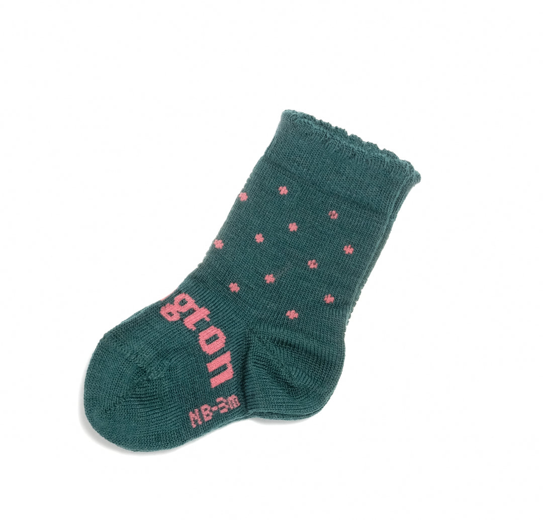 Lamington Crew Brighton Unisex