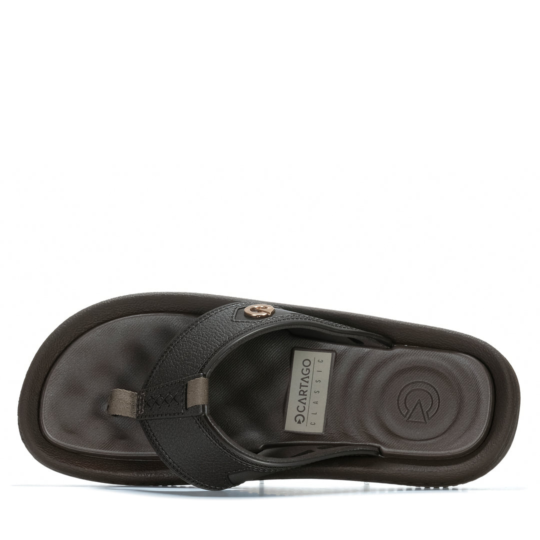 Cartago Fiji Brown/Brown
