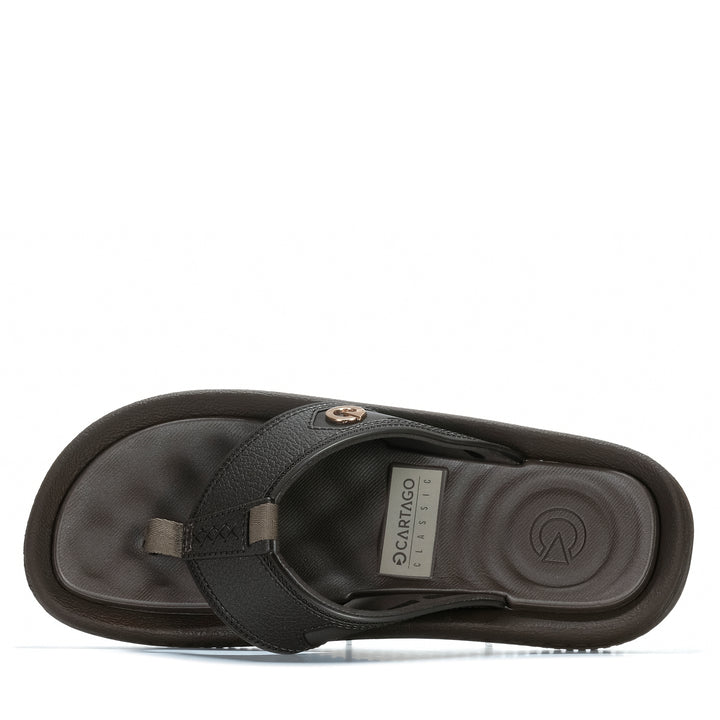 Cartago Fiji Brown/Brown