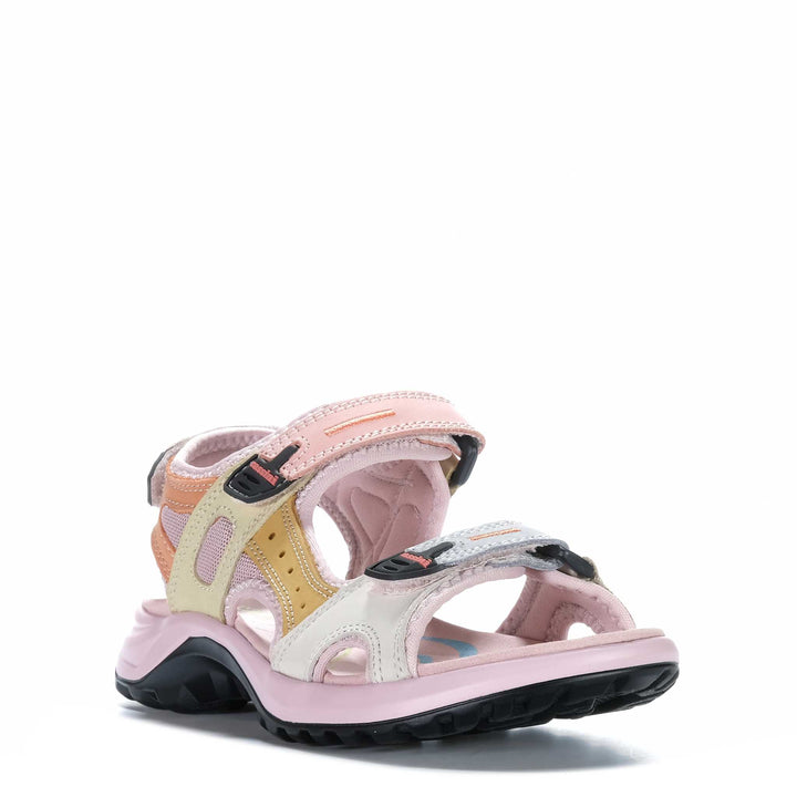 Cassini Miabelle