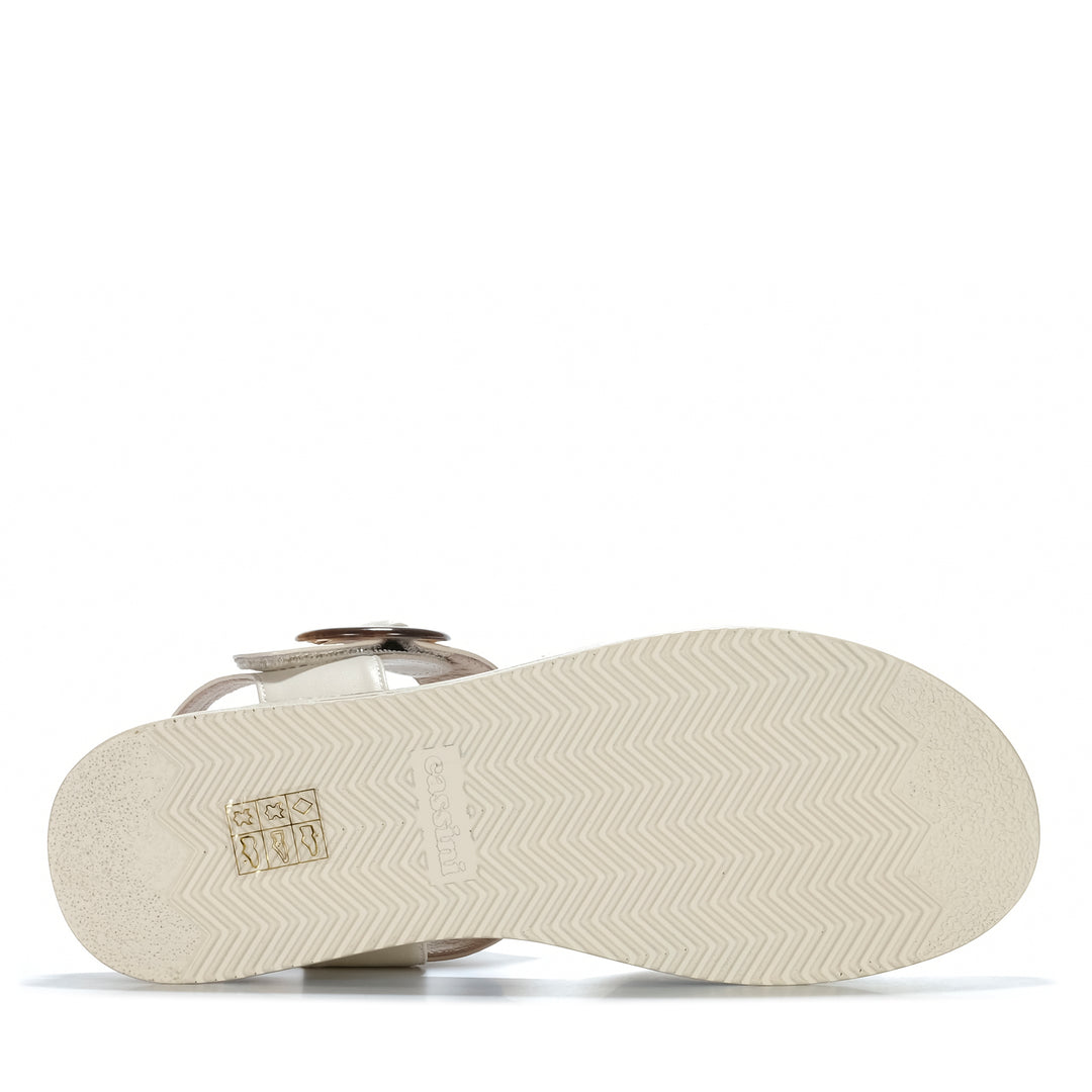 Cassini Micro Bone