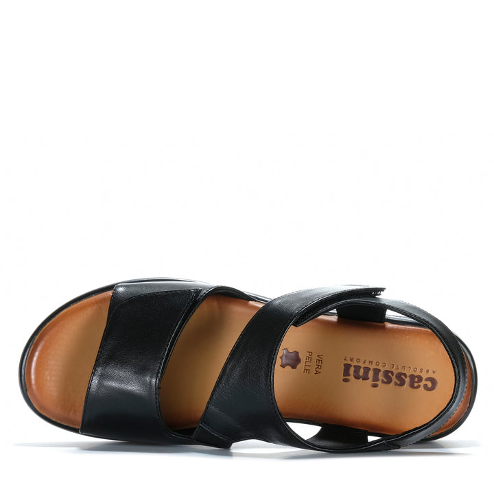 Cassini Molli Black