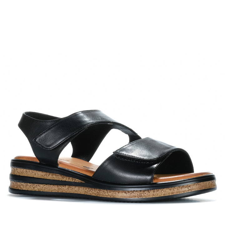 Cassini Molli Black