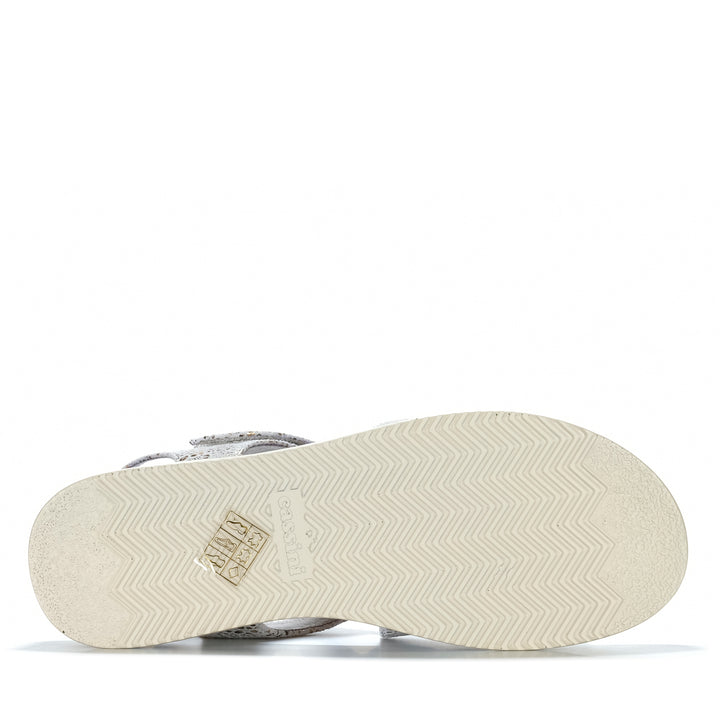 Cassini Molli Gold Pan