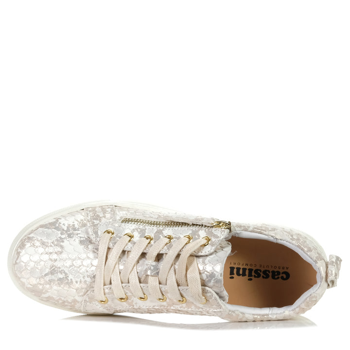 Cassini Moscow Gold/Cream Snake, 37 EU, 38 EU, 39 EU, 40 EU, 41 EU, 42 EU, cassini, flat, flats, low-tops, metallic, multi, shoes, sneakers, womens