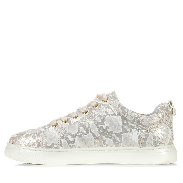 Cassini Moscow Gold/Cream Snake, 37 EU, 38 EU, 39 EU, 40 EU, 41 EU, 42 EU, cassini, flat, flats, low-tops, metallic, multi, shoes, sneakers, womens