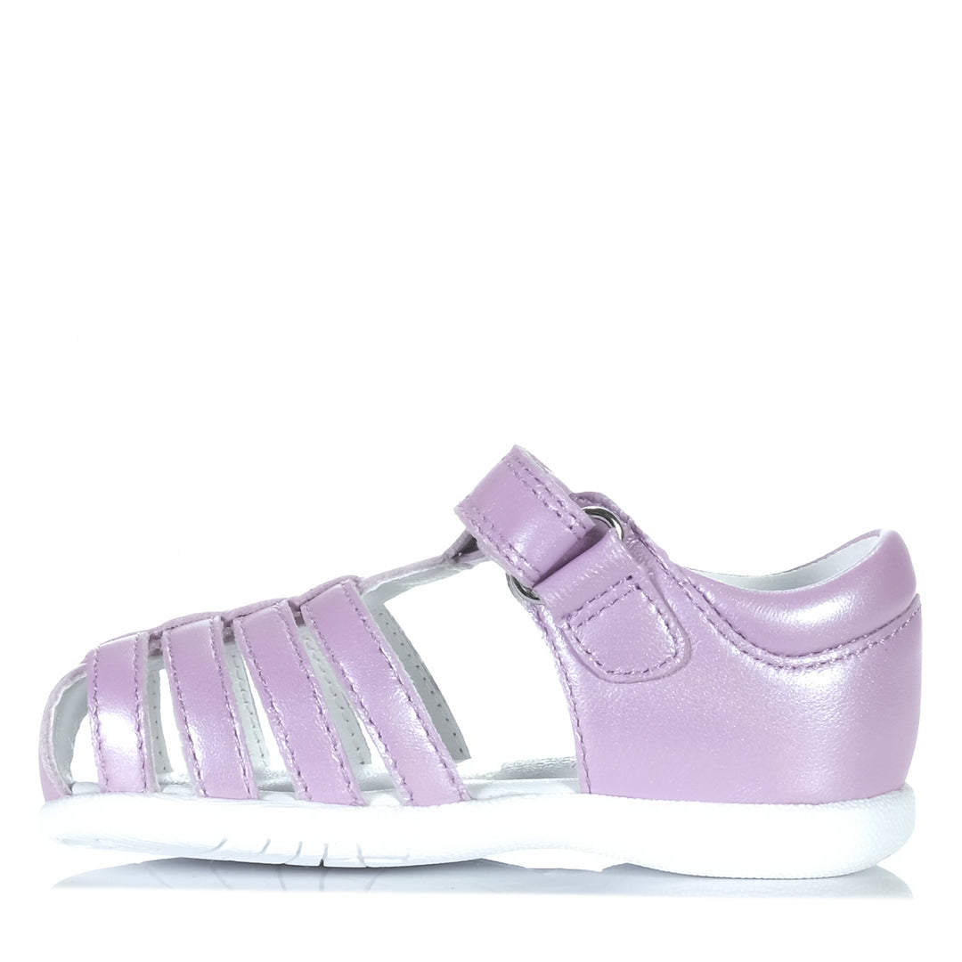 Clarks Shelly Violet Toddler Sandals
