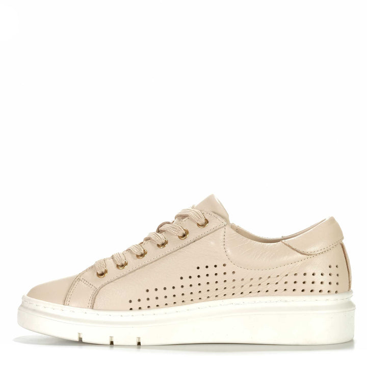 Rilassare Treaty Womens Sneakers